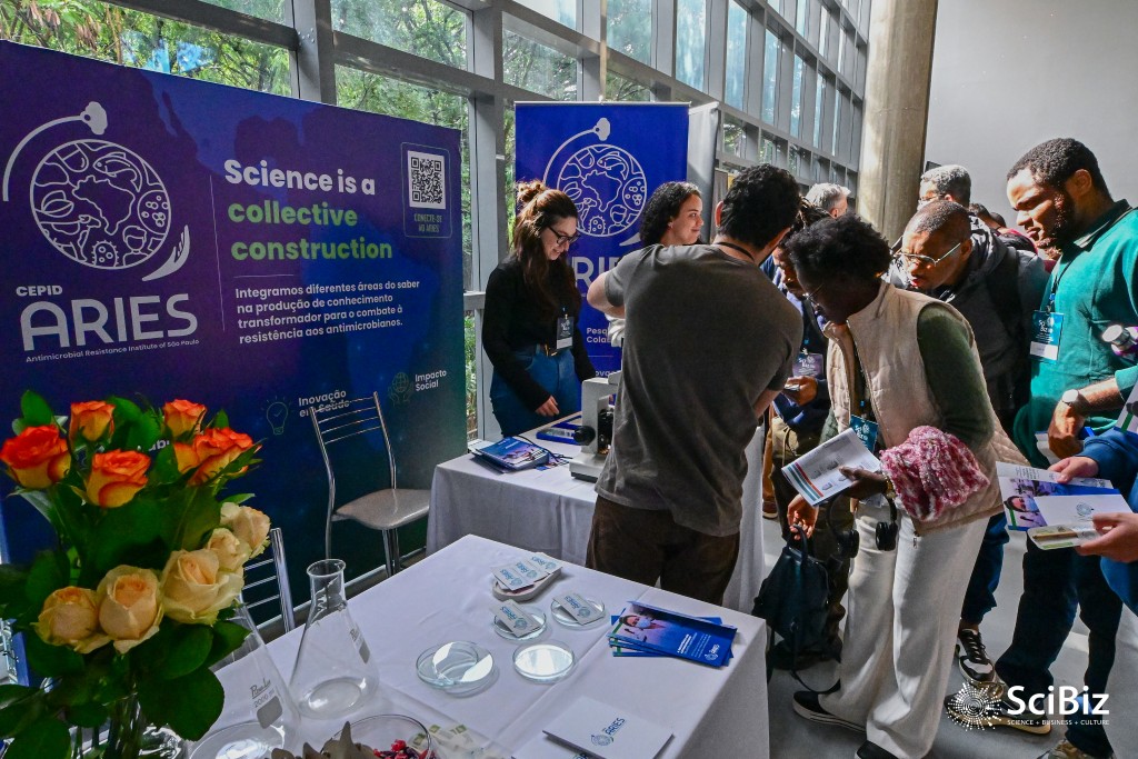 Estandes - foto 49